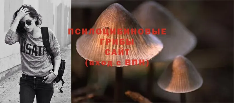 Псилоцибиновые грибы MAGIC MUSHROOMS  купить закладку  Городец 